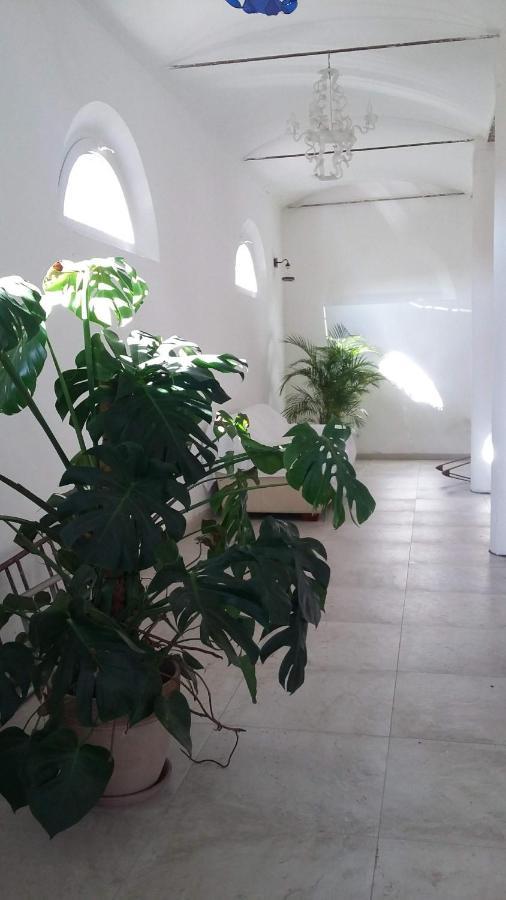 Corte Stellata Holiday Apartments Kültér fotó